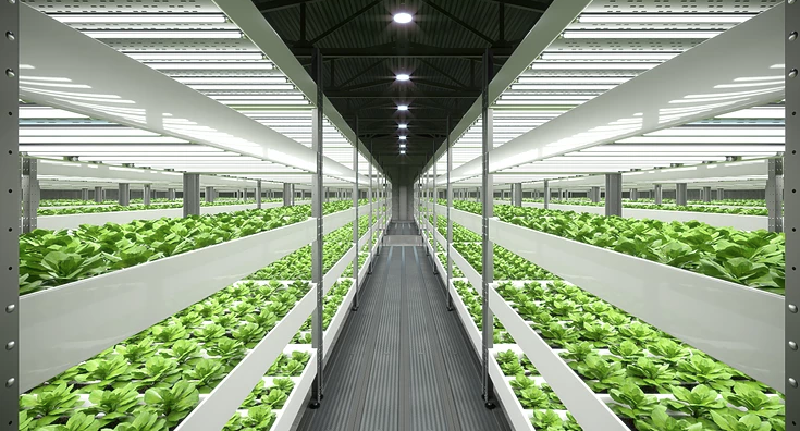 Vertical farming led grow light