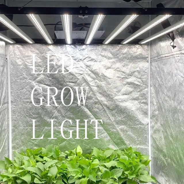 LED plant light