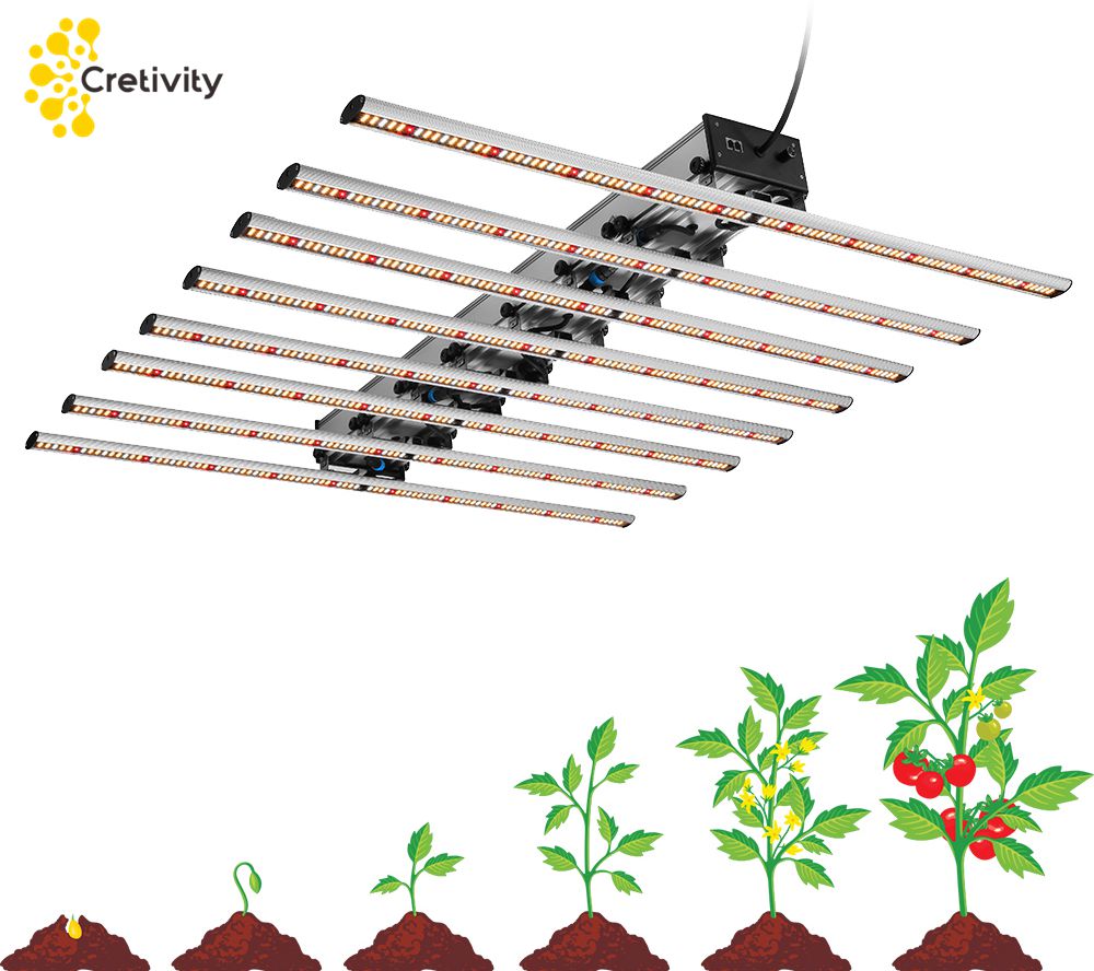 cannabis LED grow light 