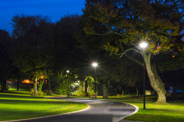 Issues  that Should Be Considered In Landscape Lighting Design