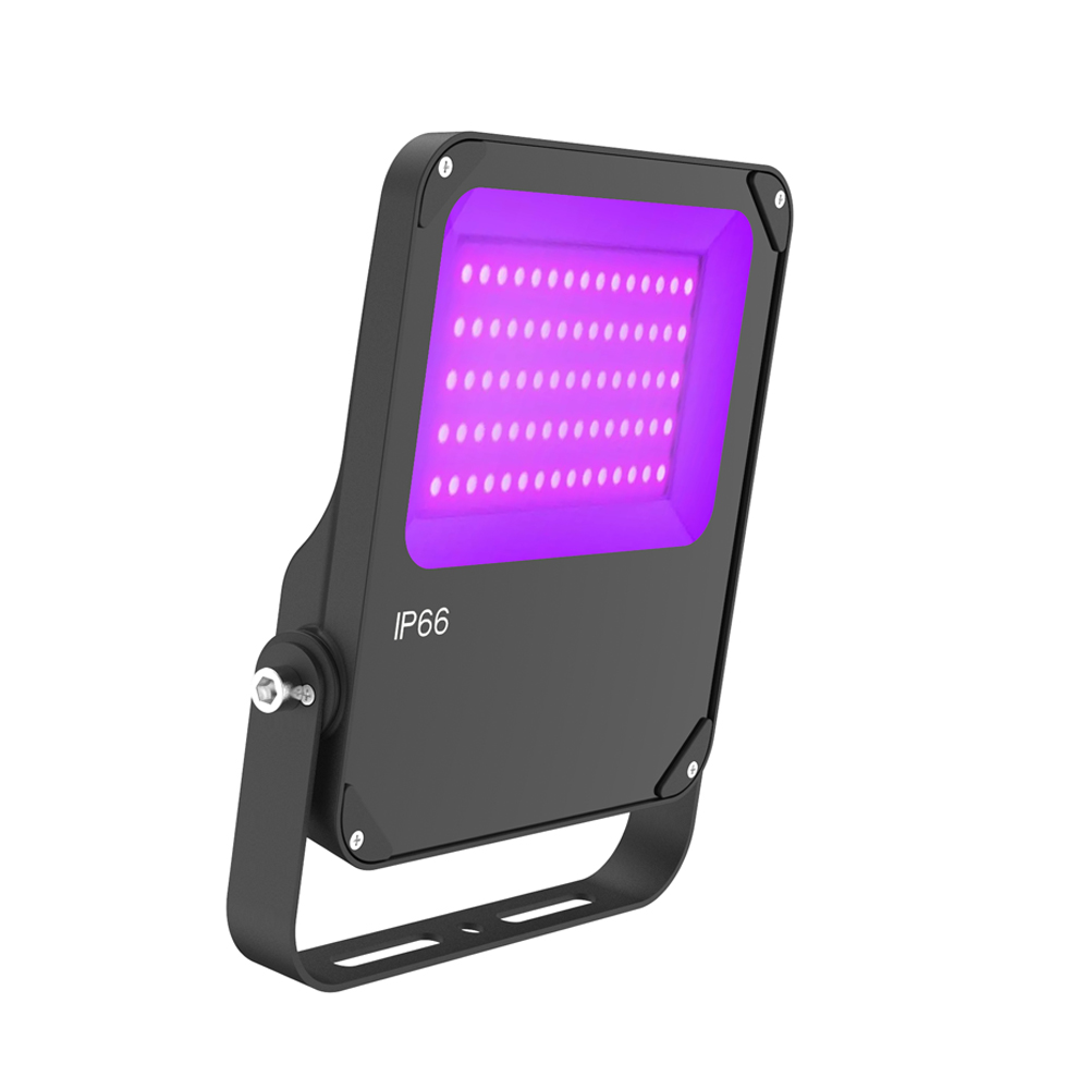  50W  High Quality IP66 UV LED Flood Black Light for Fluorescent Painting