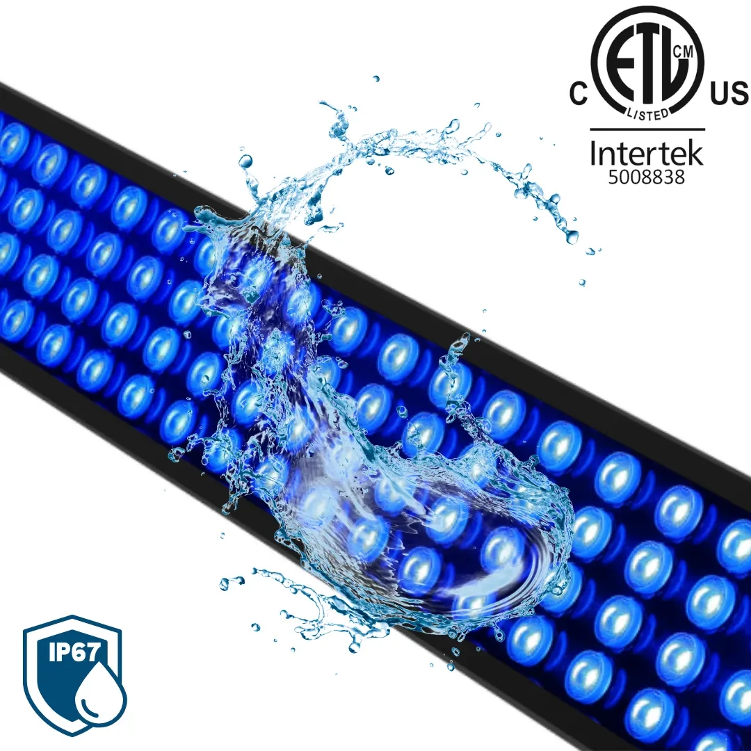 How LED Lighting IP is Tested and Why It is Important?