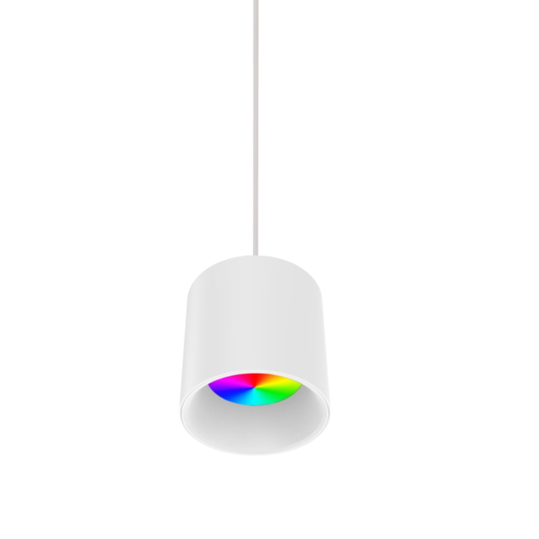 10W Indoor Pendant RGBW LED Downlight