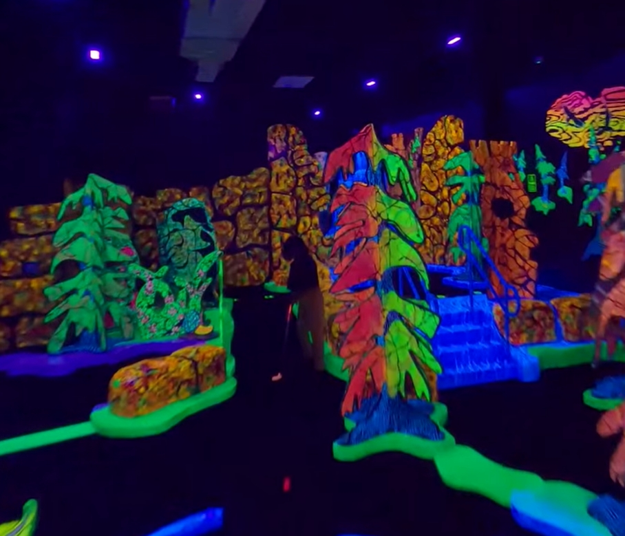 What Constitutes an Excellent Black Light Fixture?