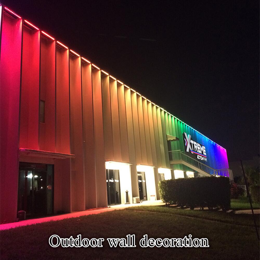 Which LED light color do you desire for your project?