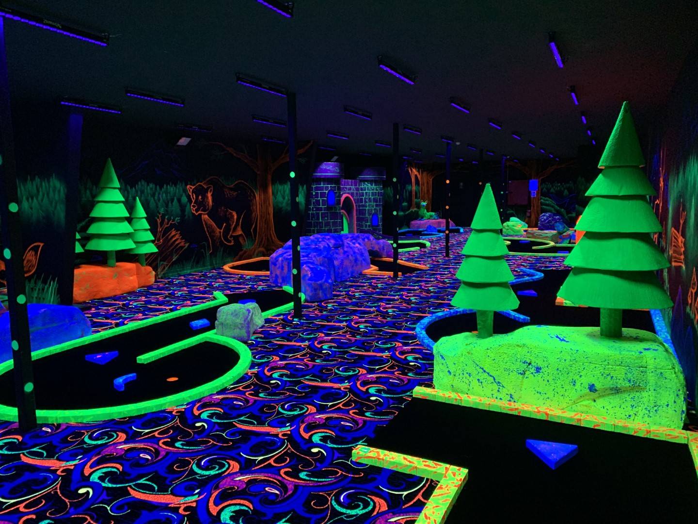 LED UV Blacklights: Unlocking the Power of Ultraviolet Illumination