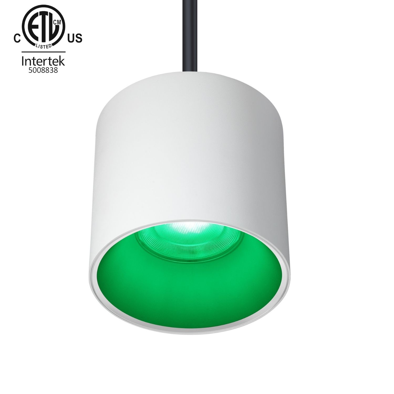 50W Indoor Pendant RGBW LED Downlight