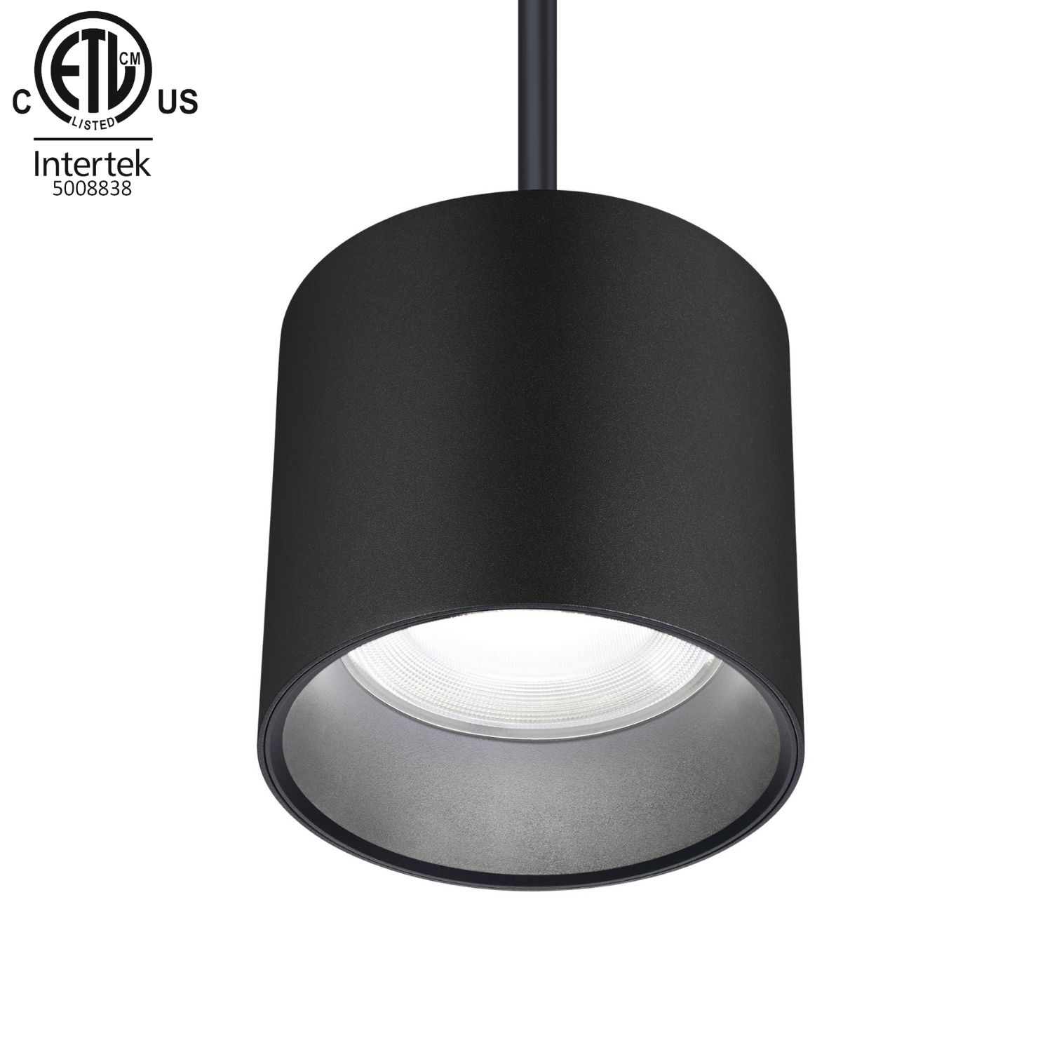 30W Indoor Pendant RGBW LED Downlight