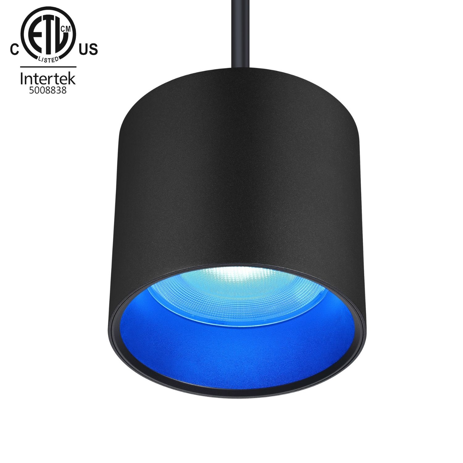 30W Indoor Pendant RGBW LED Downlight