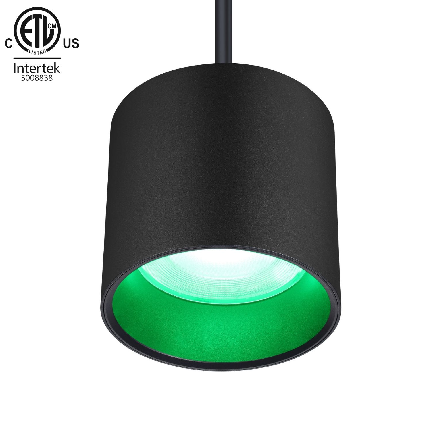 30W Indoor Pendant RGBW LED Downlight