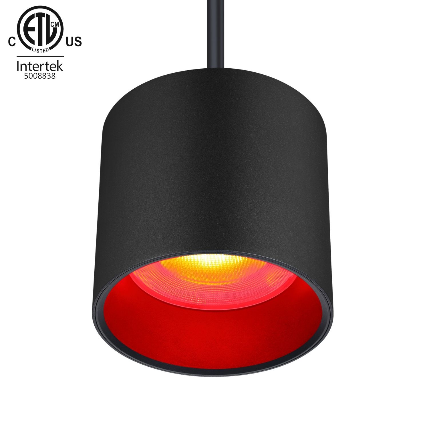 30W Indoor Pendant RGBW LED Downlight