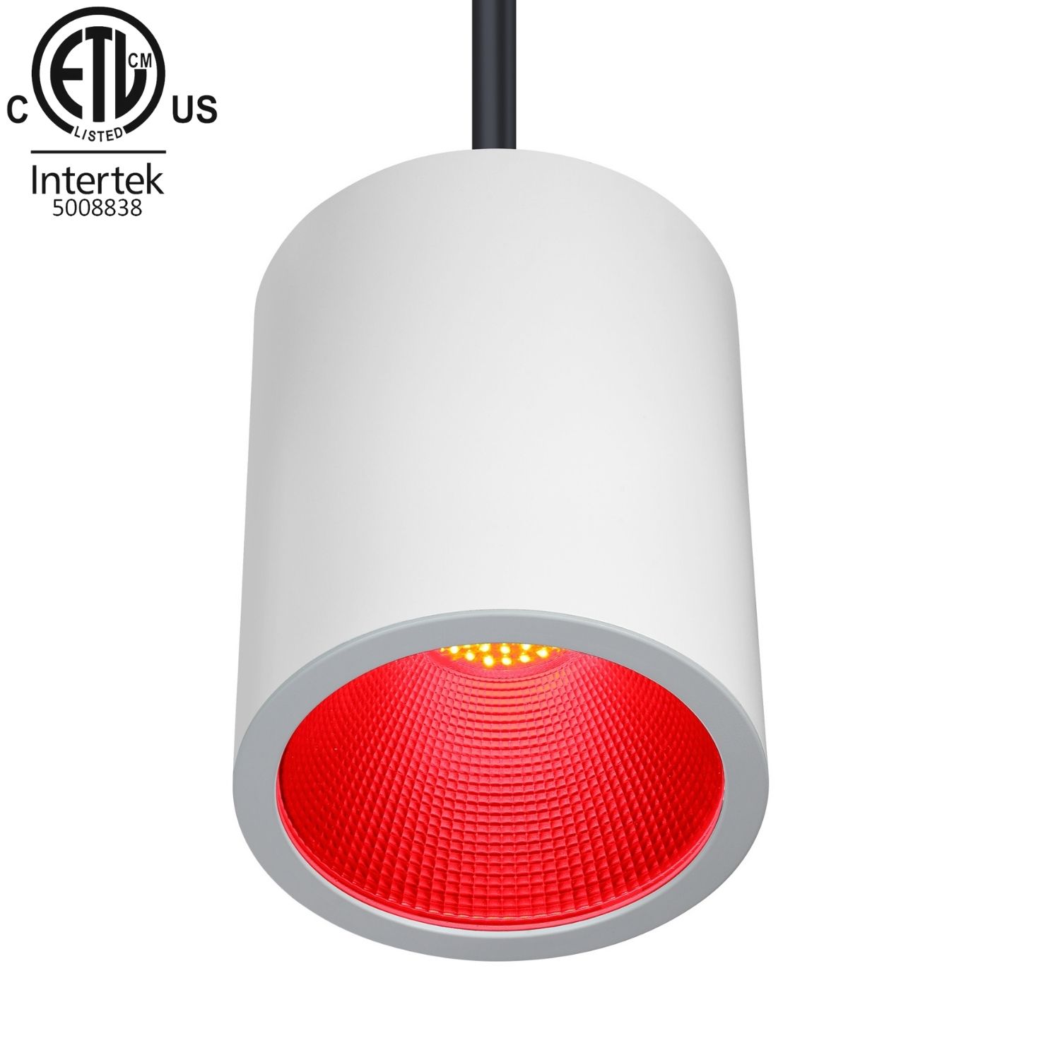 100W ETL Listed Pendant RGBW LED Downlight