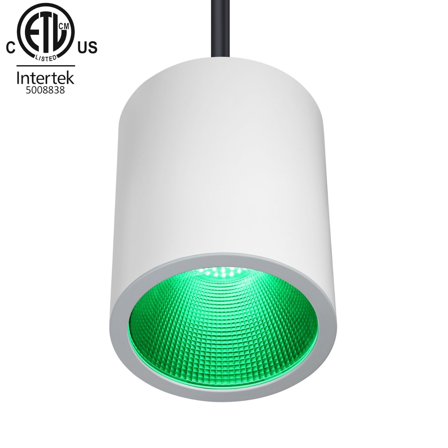 100W ETL Listed Pendant RGBW LED Downlight