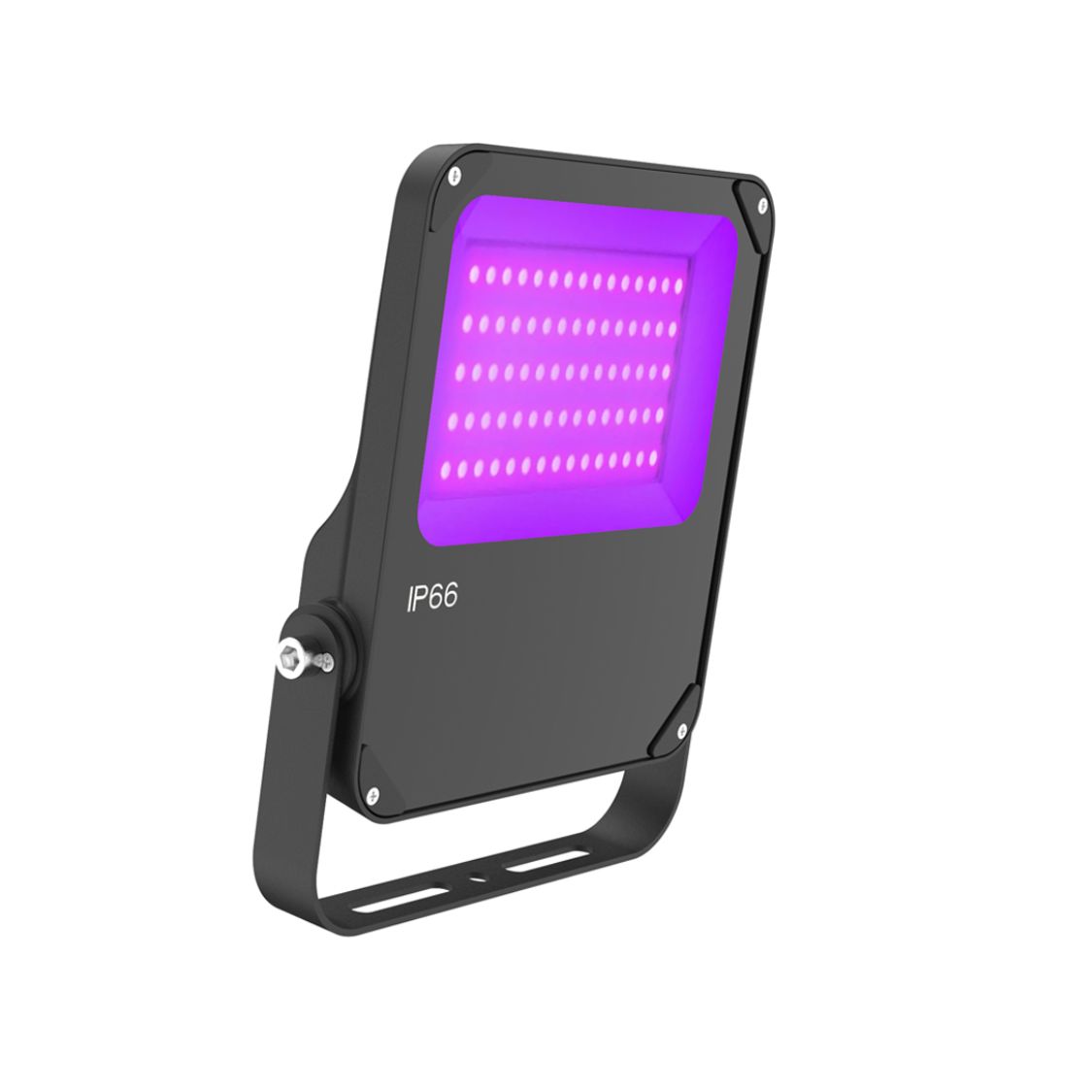  50W  High Quality IP66 UV LED Flood Black Light for Fluorescent Painting