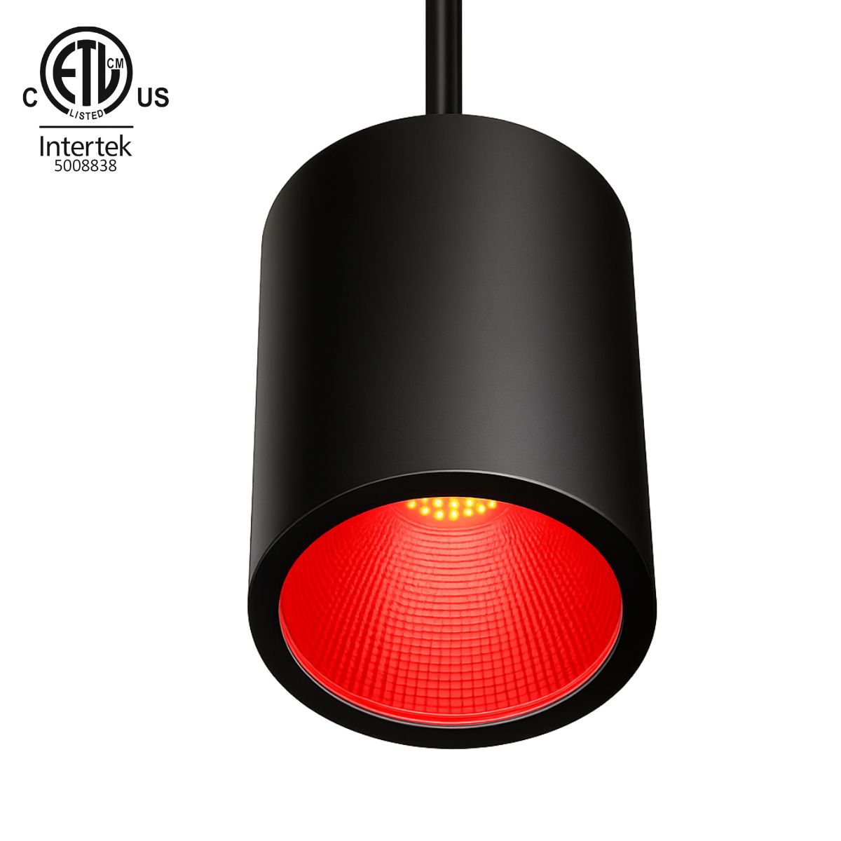 100W ETL Listed Pendant RGBW LED Downlight