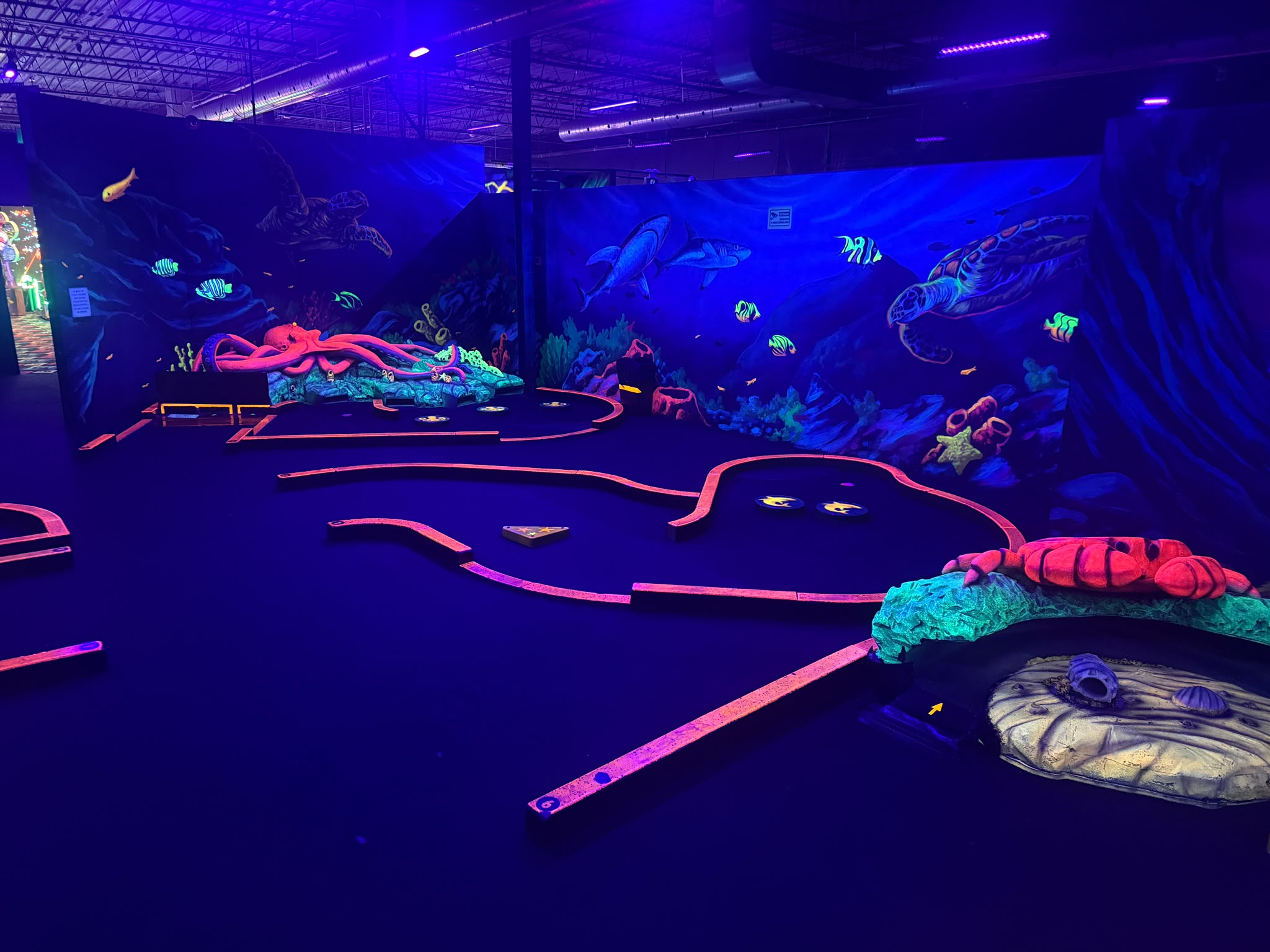50pcs LT-F50W UV Blacklight for Indoor Mini Golf | Canada Project